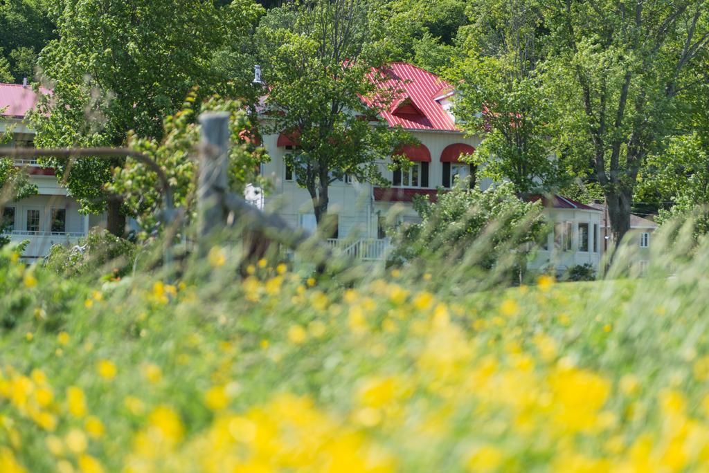 Auberge La Courtepointe Petite-Riviere-Saint-Francois Dış mekan fotoğraf